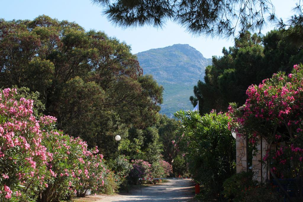 Camping Bella Vista Calvi  Exterior foto